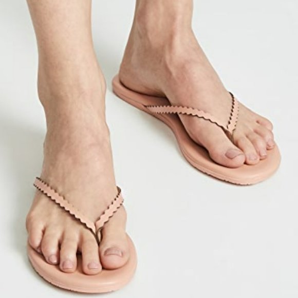 TKEES Shoes Tkees Studio Scalloped Flip Flops In Sophie Poshmark